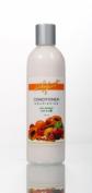 Holy Fruit Кондиционер питающий - Nourishing Conditioner, 300 мл., «N. S. P. Natural Skin Products LTD», Израиль